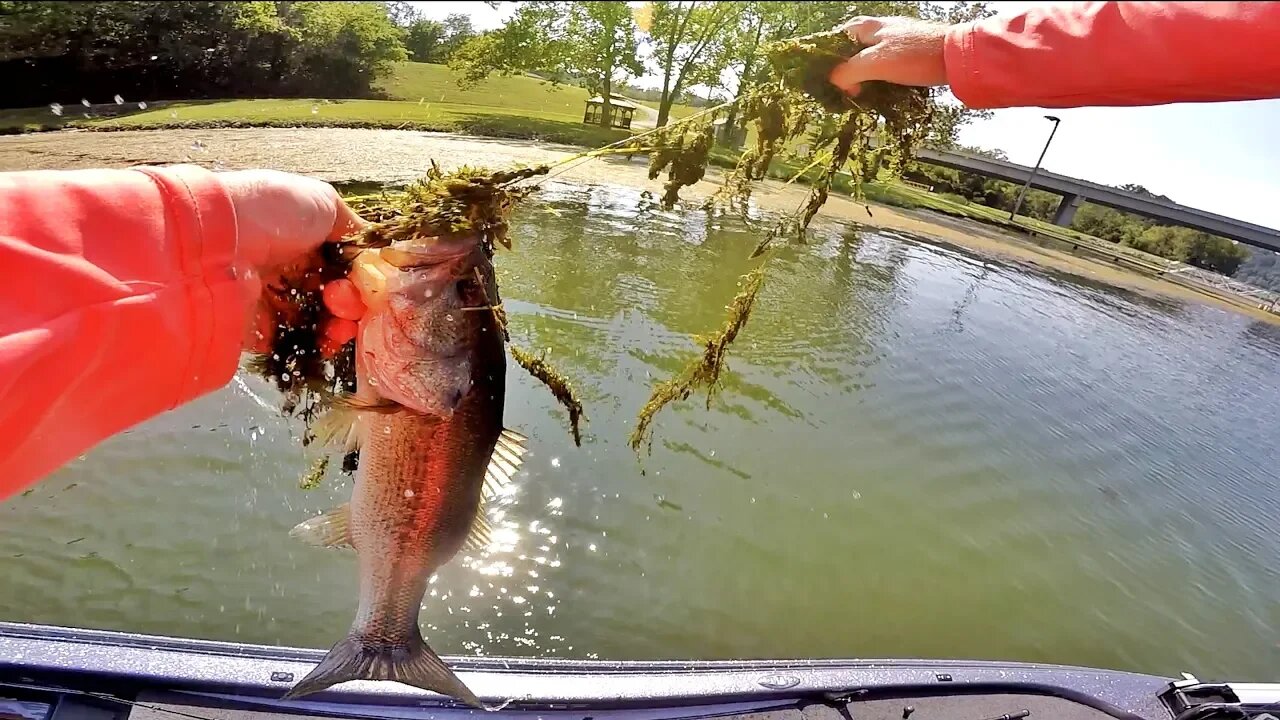 Smackin' That Grass Bass - Fishing the Fall Transition