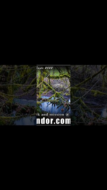 Royal Lyran Guardians of Earth Mothership Nova Gaia 33