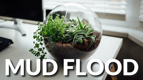 Mud Flood Terrarium & Weird Sounds In The Sky