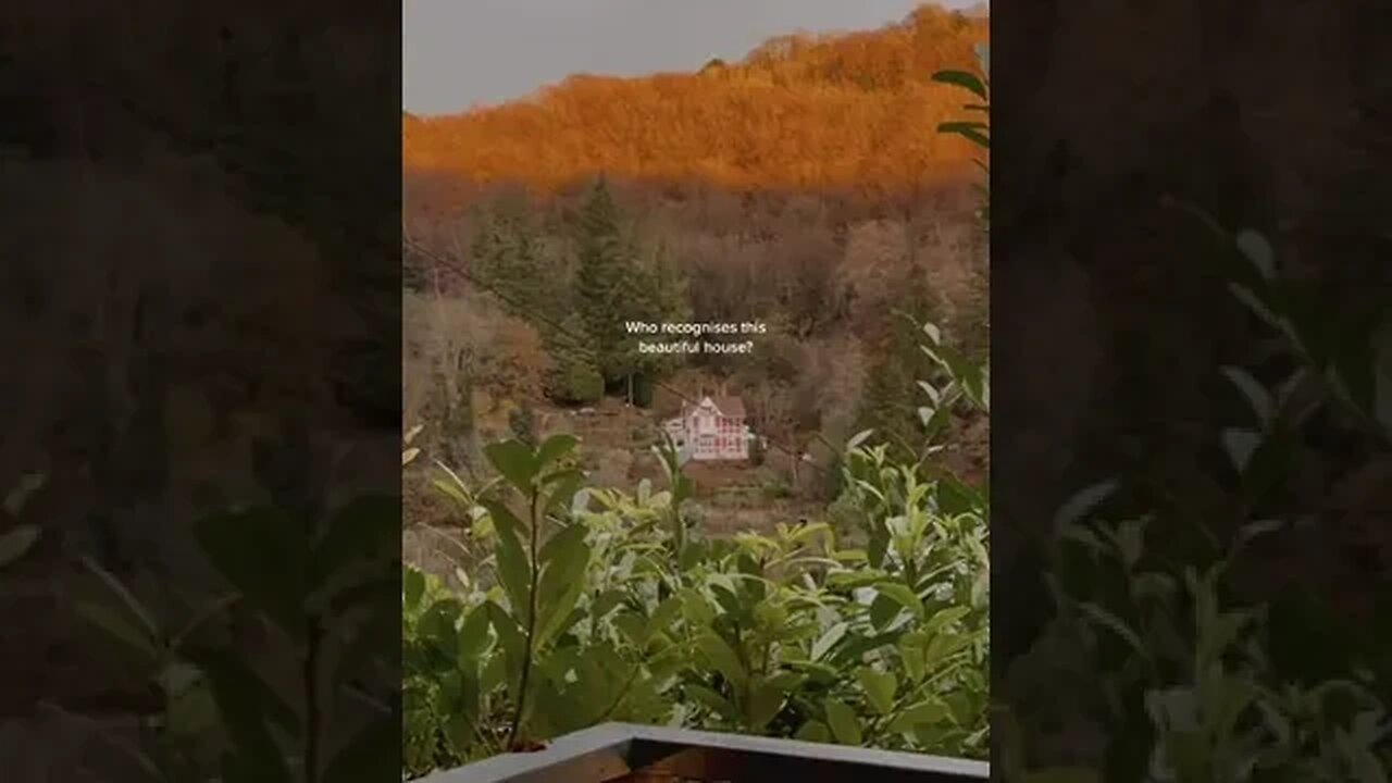 Hello There tiktok georginaafilms