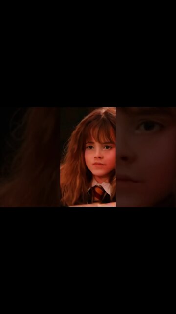 ♥ Everyone is Dumb✨ | "It's leviOsa, not leviosA!", says Hermione