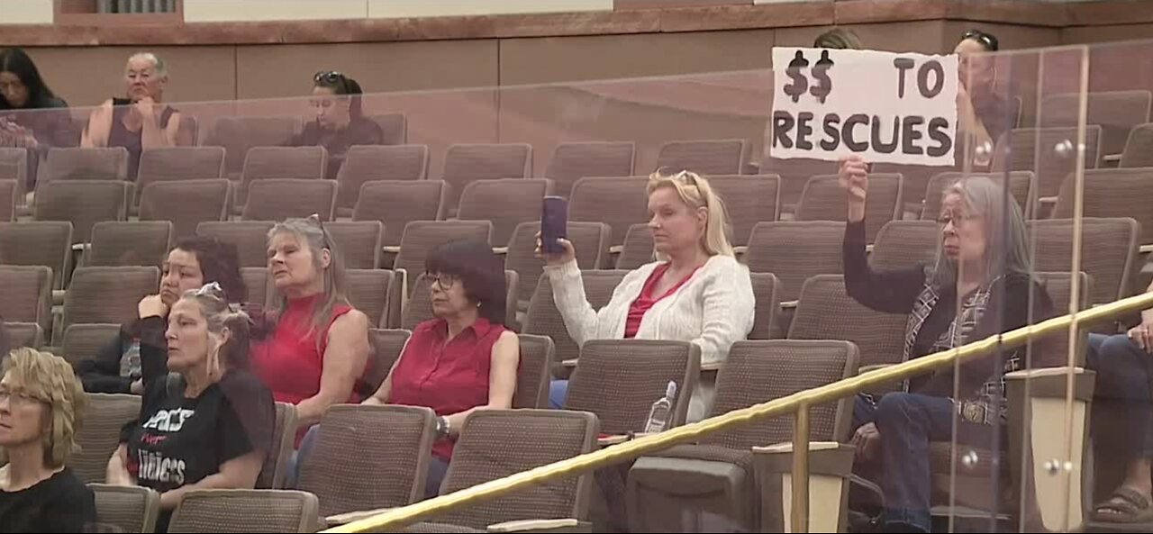 Commissioners grill Animal Foundation leaders with pointed questions about future