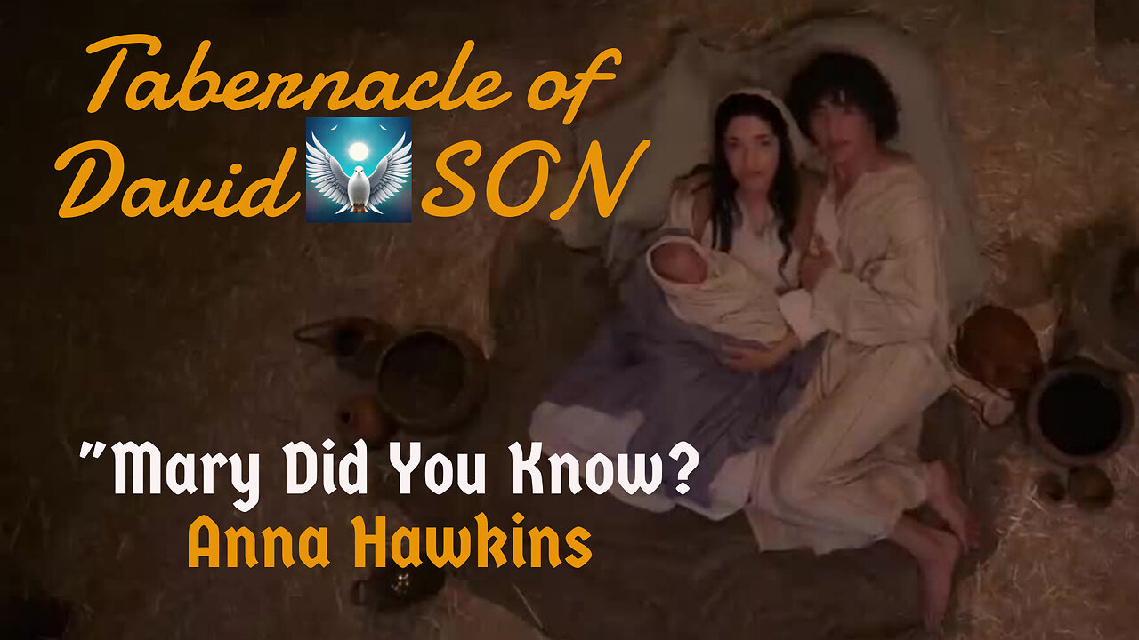 "Mary Did You Know?" Anna Hawkins MusicMOVIE Story "Miracle: JESUS The CREATOR Born Into Creation"