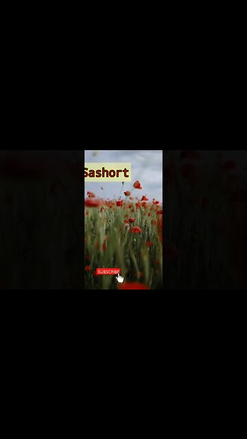 nature|beautiful flowers 🌹🌺🌺|nature short