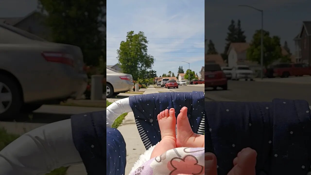 Baby's POV From Stroller #shorts