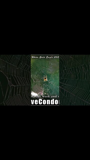 Dreamweavers 🏞 of the Tapestry New Heaven upon the New Earth