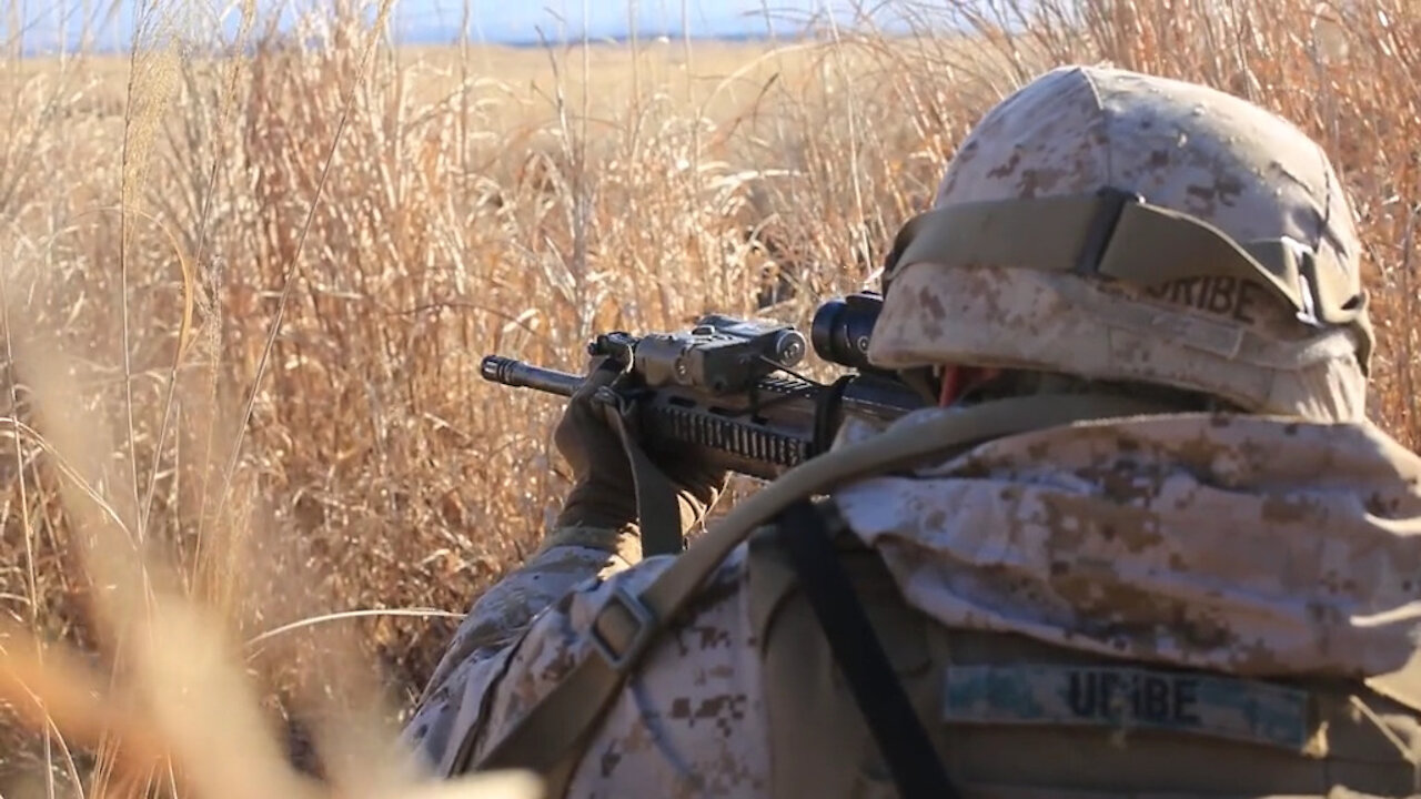 Day 2 B-Roll Fuji Viper: Marines conduct Joint Exercise Littoral Strike