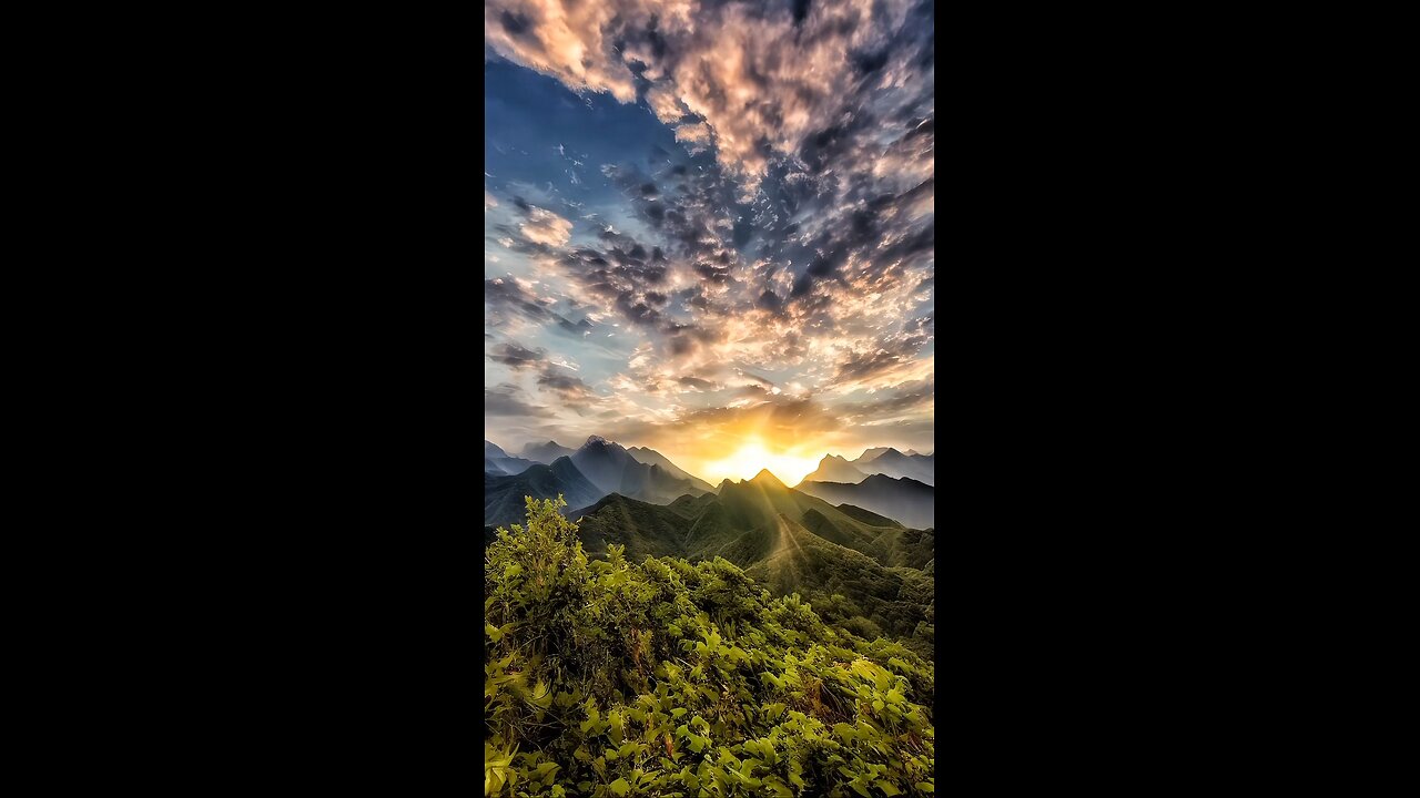 nature