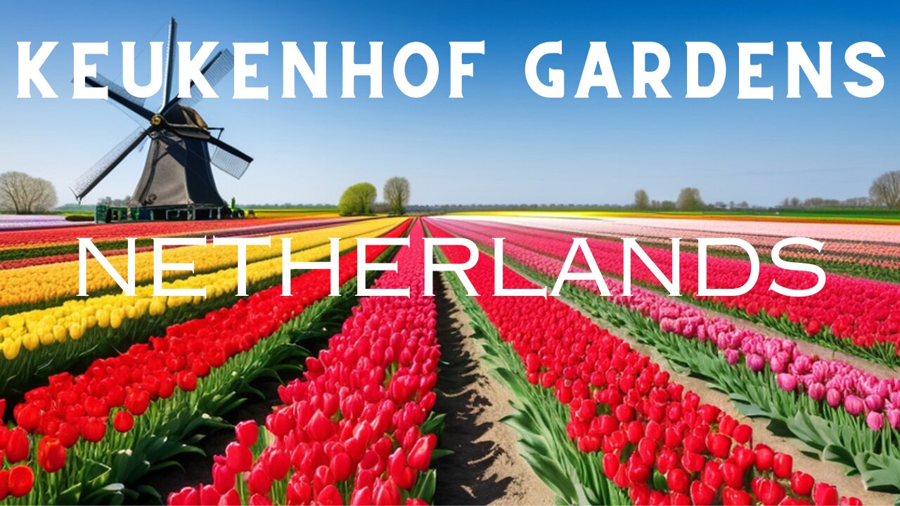 Keukenhof Gardens 2024: Unveiling the Beauty of Tulips - Travel Guide