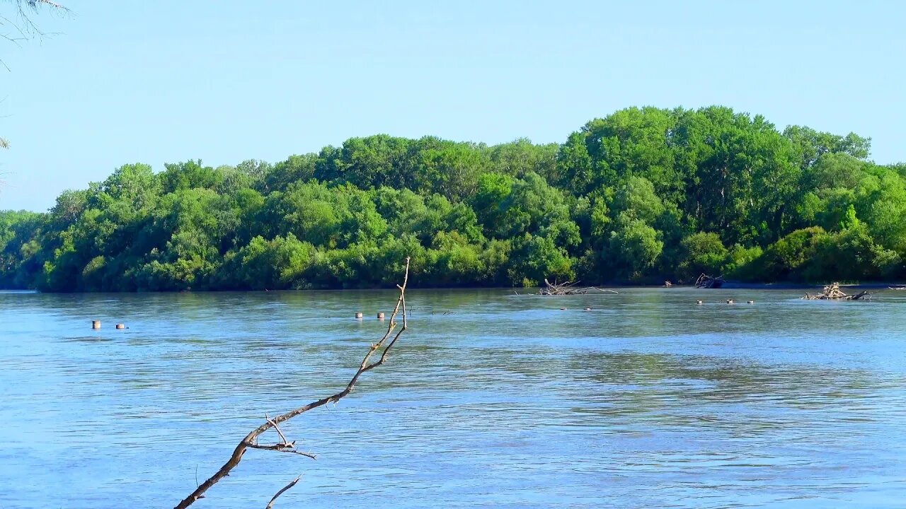 Чеченская песня. 2023. 1а. Д1адели Магомед Загаев.