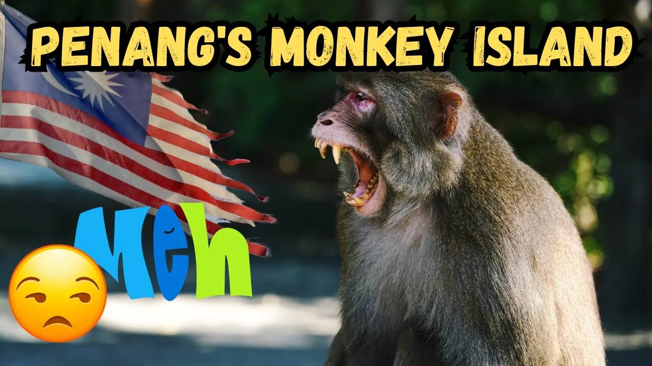 Why Penang Malaysia's Monkey Island disappointed us #travelvlog #malaysia