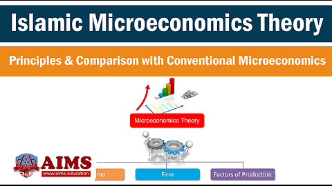 What is Islamic Microeconomics ? Meaning, Definition, and Example