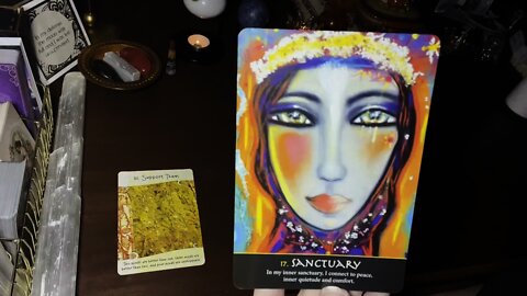 ~ PICK A CARD READING ~ TIMELESS