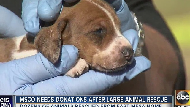 MCSO needs donations after large animal rescue
