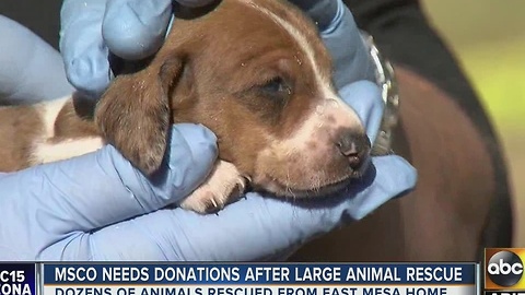 MCSO needs donations after large animal rescue