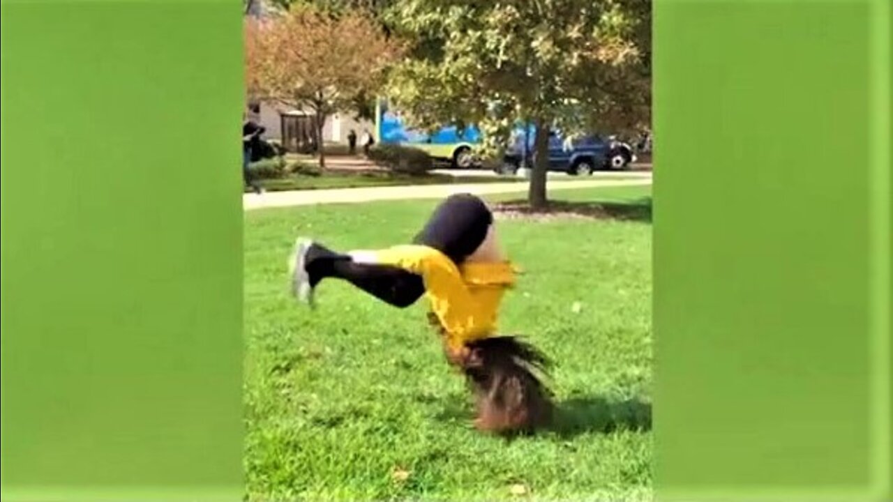 The 5 min Laugh - TikTok Best Fails