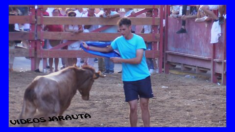 CABANILLAS ( NAVARRA ) TARDE VACAS CALLE Y PLAZA ( SABADO 20 AGOSTO 2022 ) SANTOS ZAPATERIA