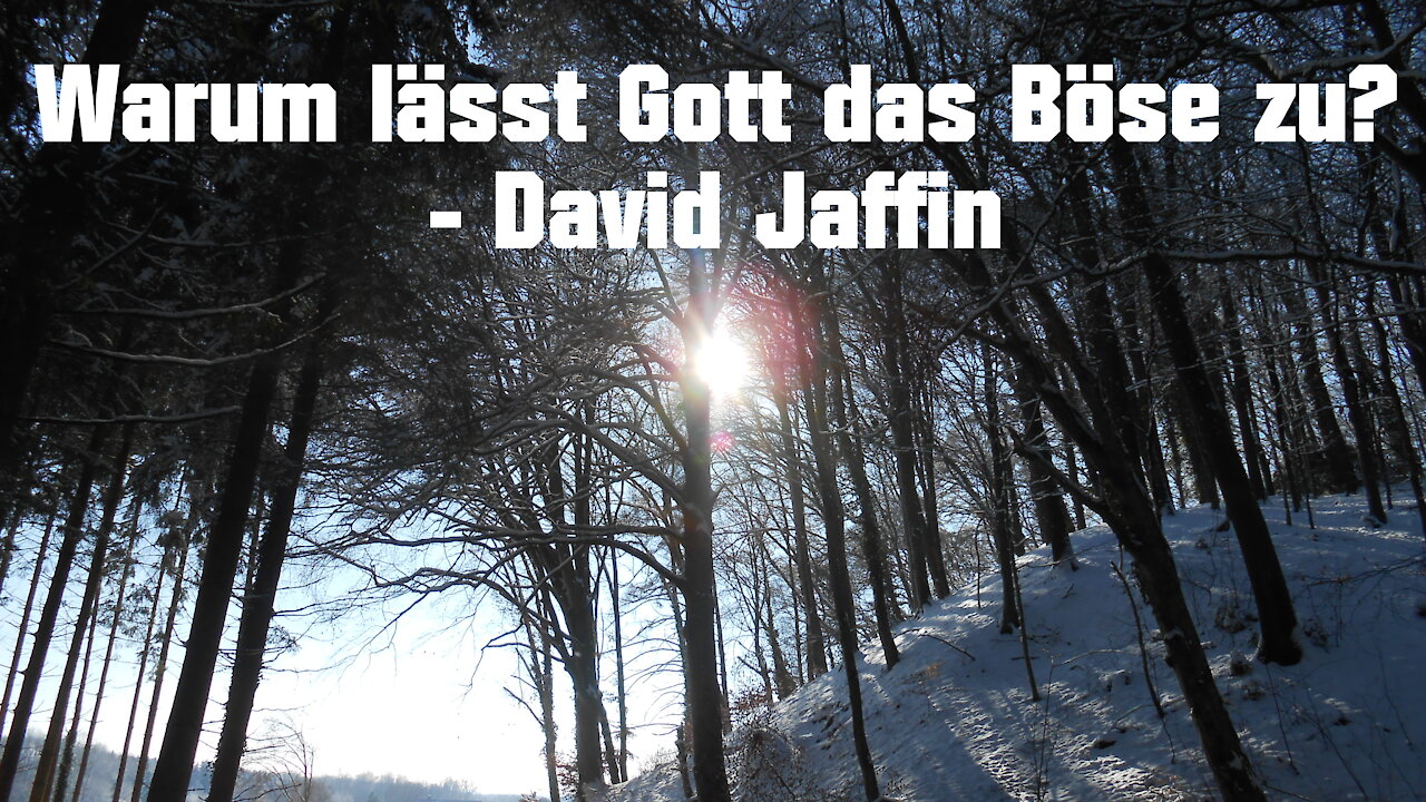 Warum lässt Gott das Böse zu? (David Jaffin)