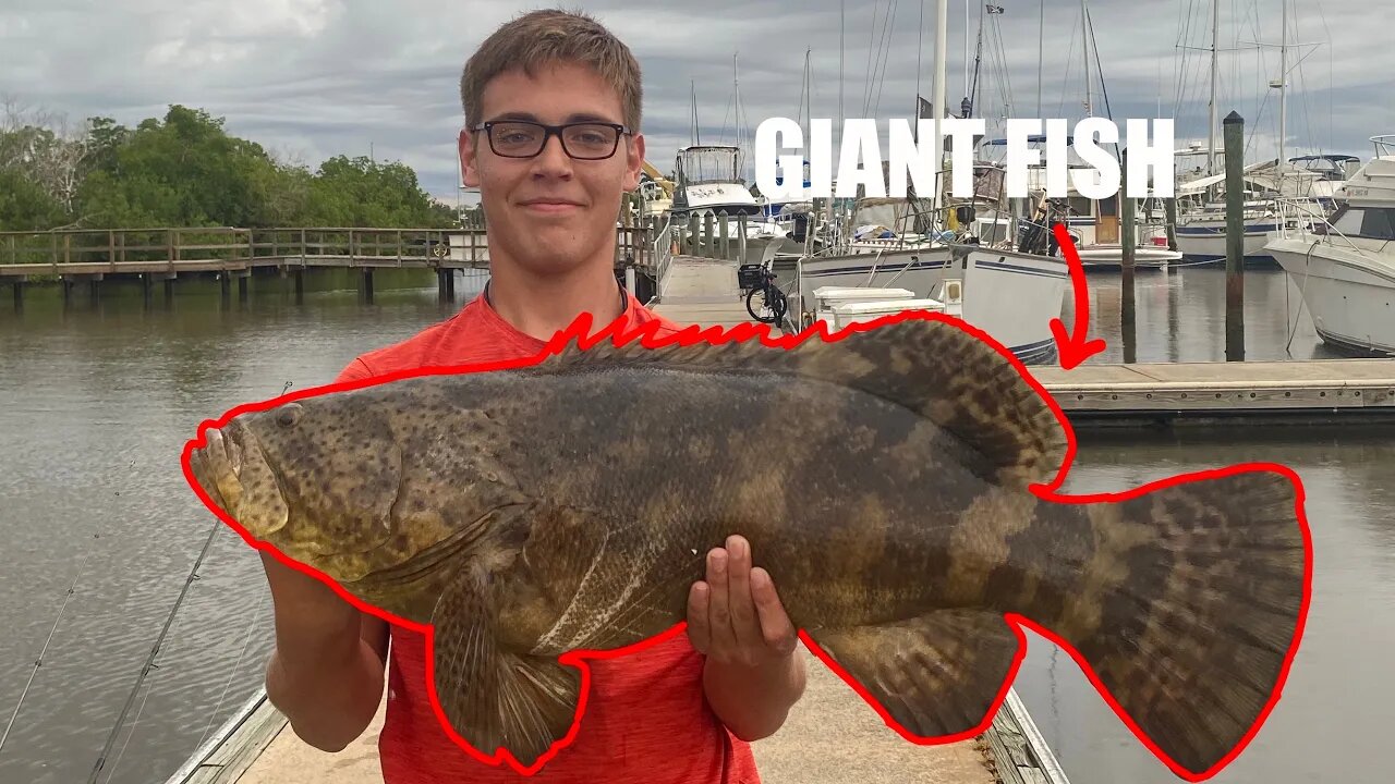 These BEHEMOTH FISH almost pulled us in the water! | Goliath￼ Grouper!￼