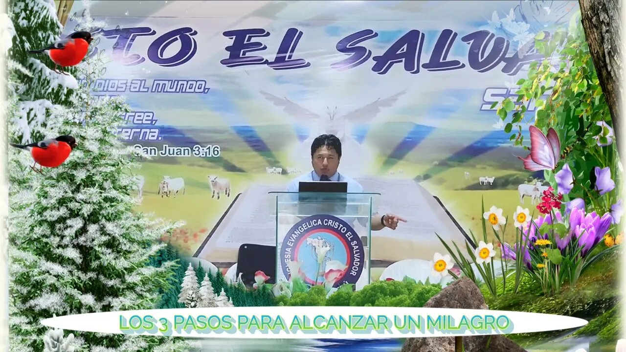 LOS 03 PASOS PARA ALCANZAR UN MILAGRO - EVANGELISTA EDGAR CRUZ