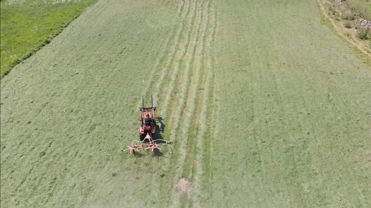 Permaculture Field Yields Hay Harvest 3 Weeks Into Growing Season