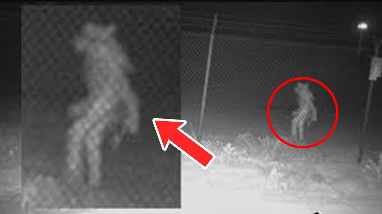 10 Most Disturbing Things Caught on the Doorbell Camera Footage