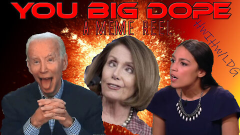 You Big Dope! What the Hell Are Our Politicians Trying to Say & Do They Even Know? Meme Reel.