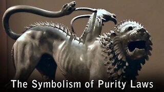 Mixing Linen and Wool -- The Deep Symbolic Meaning of Purity Laws in The Bible