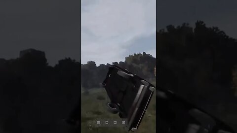 Professional Driver Plays DayZ
