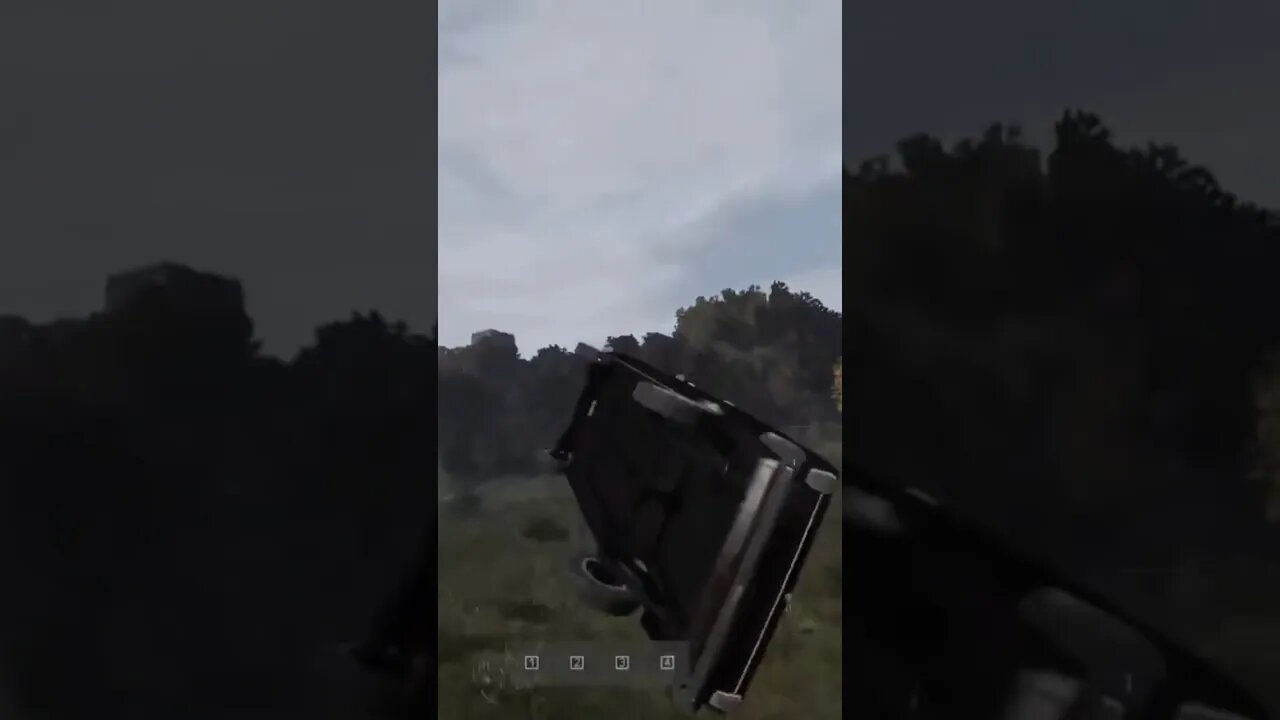 Professional Driver Plays DayZ