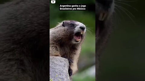 QUE M... É ESSA, MÉXICO?- #shorts #tiktok #humor #mexico #argentina #copadomundo #fifaworldcup