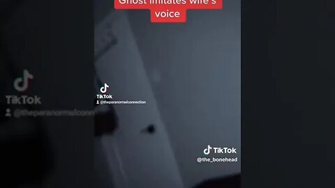 Imitation Ghost