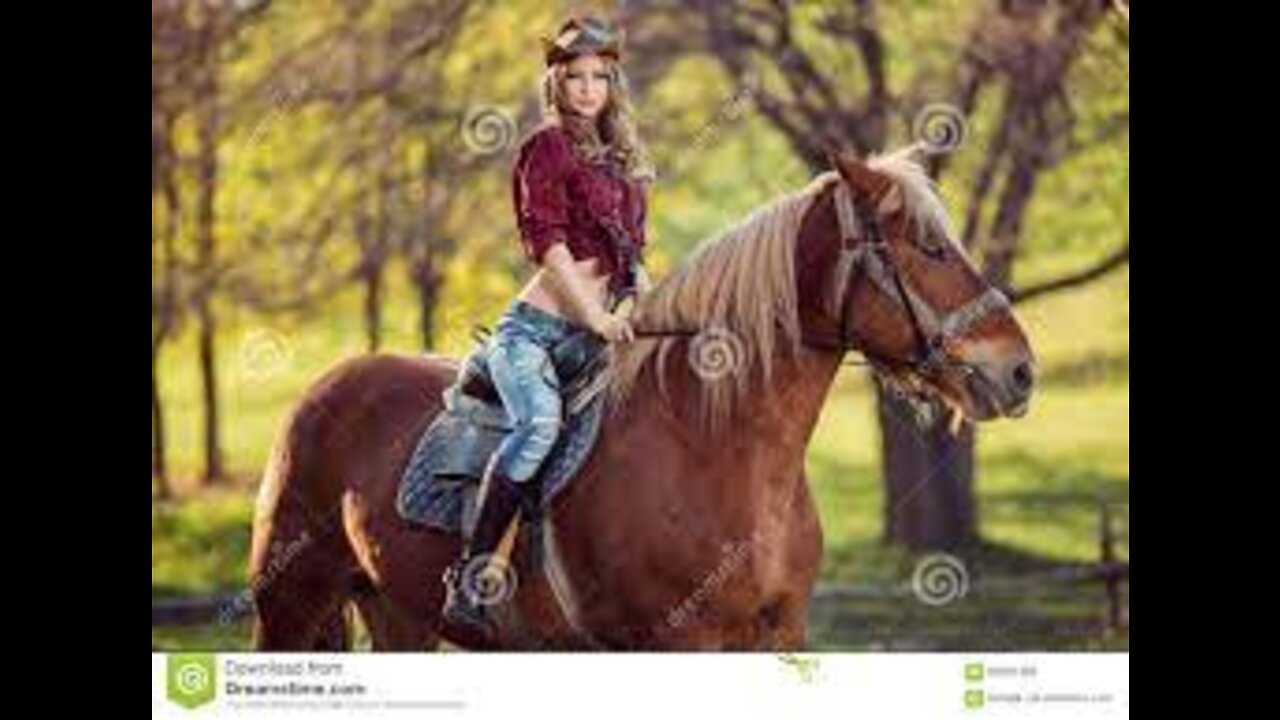 Beautiful Horse