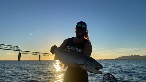 LIVE Buoy 10 Salmon Fishing - Part 3!