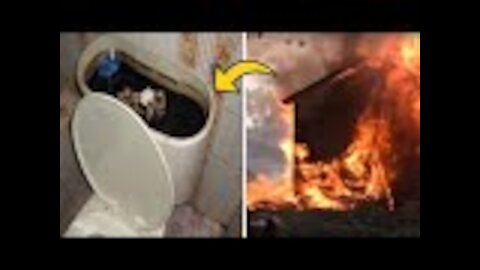 Woman Told To Burn House Down After Discovering Cause Of Broken Toilet