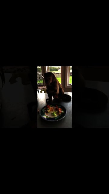 See I did juice my lettuce! Tell your friend Kelly haha Kelly Savko