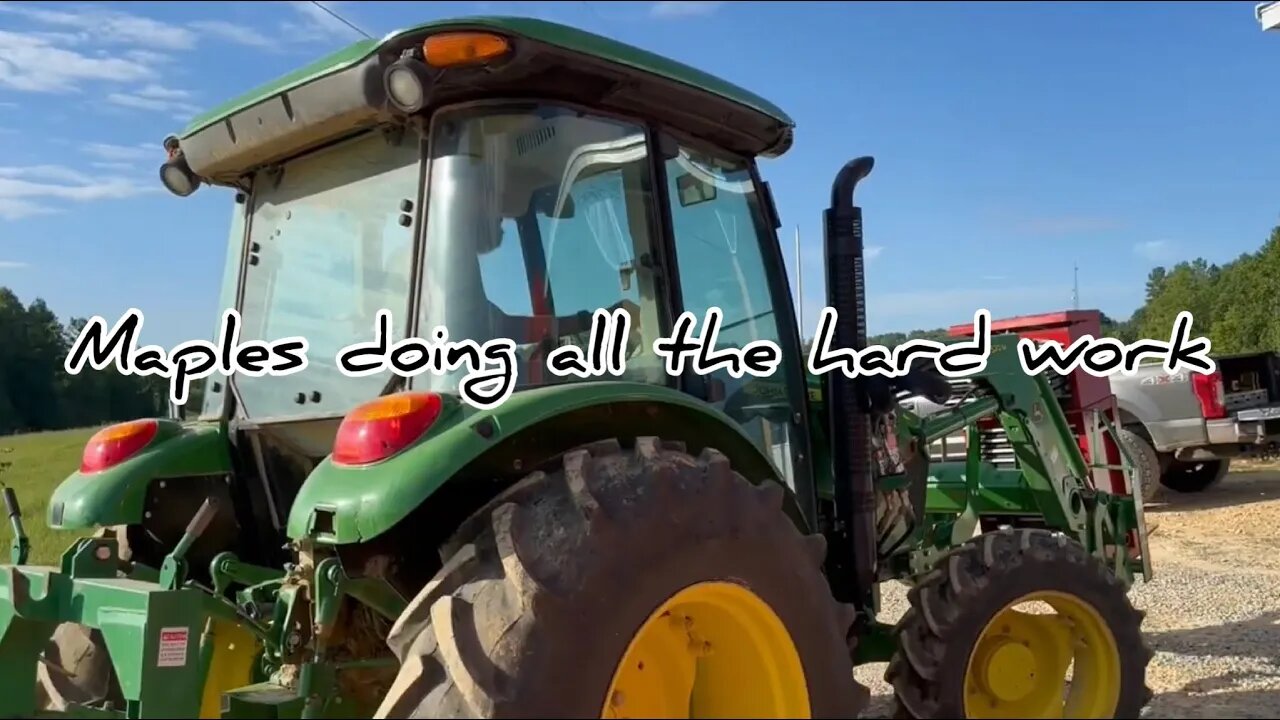 Mabel our tractor help's us move into the shop . #hedgehogshomestead