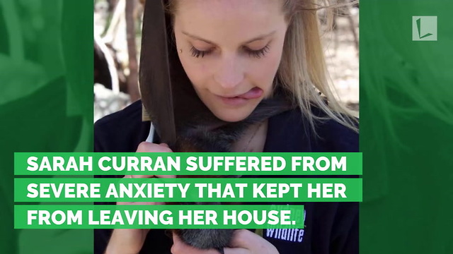 She Had No Purpose Until She Met a Sweet Little Fruit Bat Who Needed a Mother