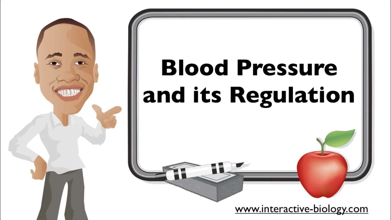 Blood Pressure Regulation (Lecture)