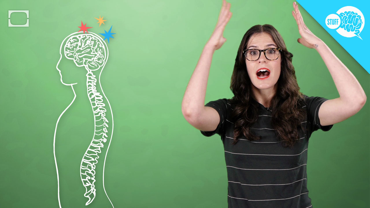 BrainStuff: What Are Brain Orgasms And ASMR Whisperers?