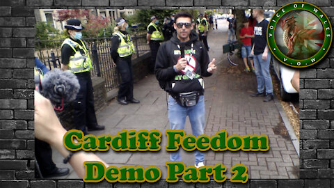 Voice Of Wales - World Freedom Rally Cardiff Part 2