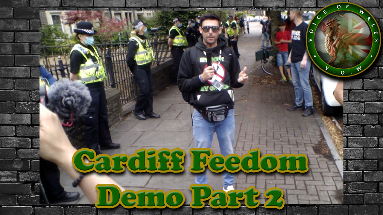 Voice Of Wales - World Freedom Rally Cardiff Part 2