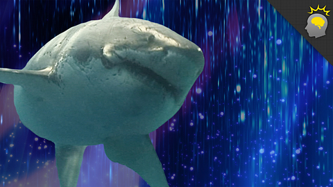 Stuff to Blow Your Mind: Epic Science: Sharks That Kill Without Jaws