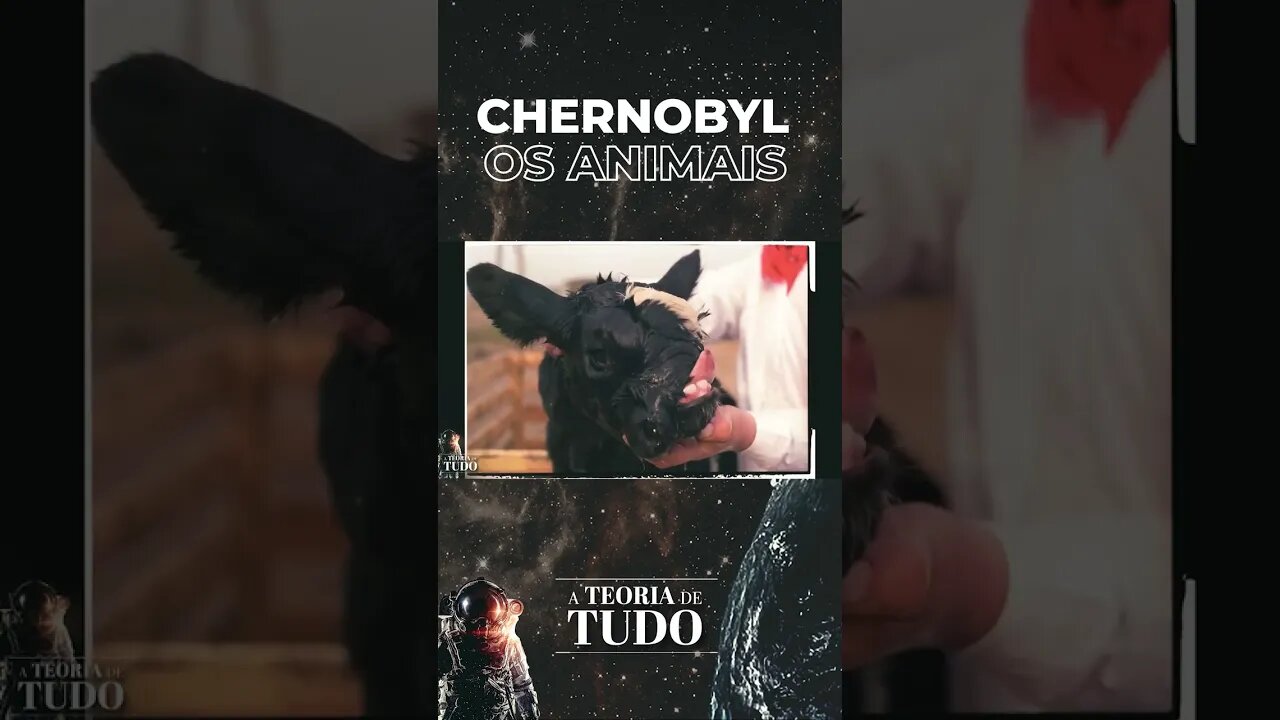 CHERNOBYL - OS ANIMAIS