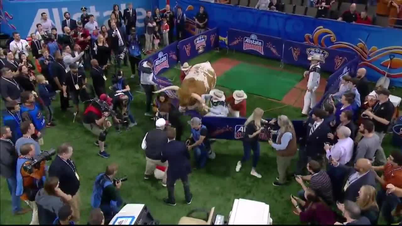 Georgia mascot causes Texas mascot to charge at Sugar Bowl