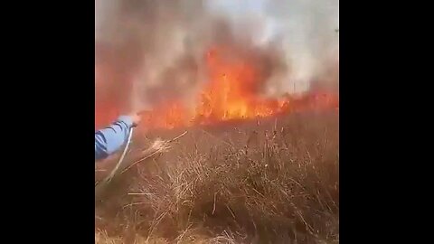 Israeli settlers have stormed agricultural lands near Ramallah & set fire to olive trees ⏬descript