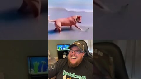 Here’s Your Dose Of REALarious…🤣🤣🤣