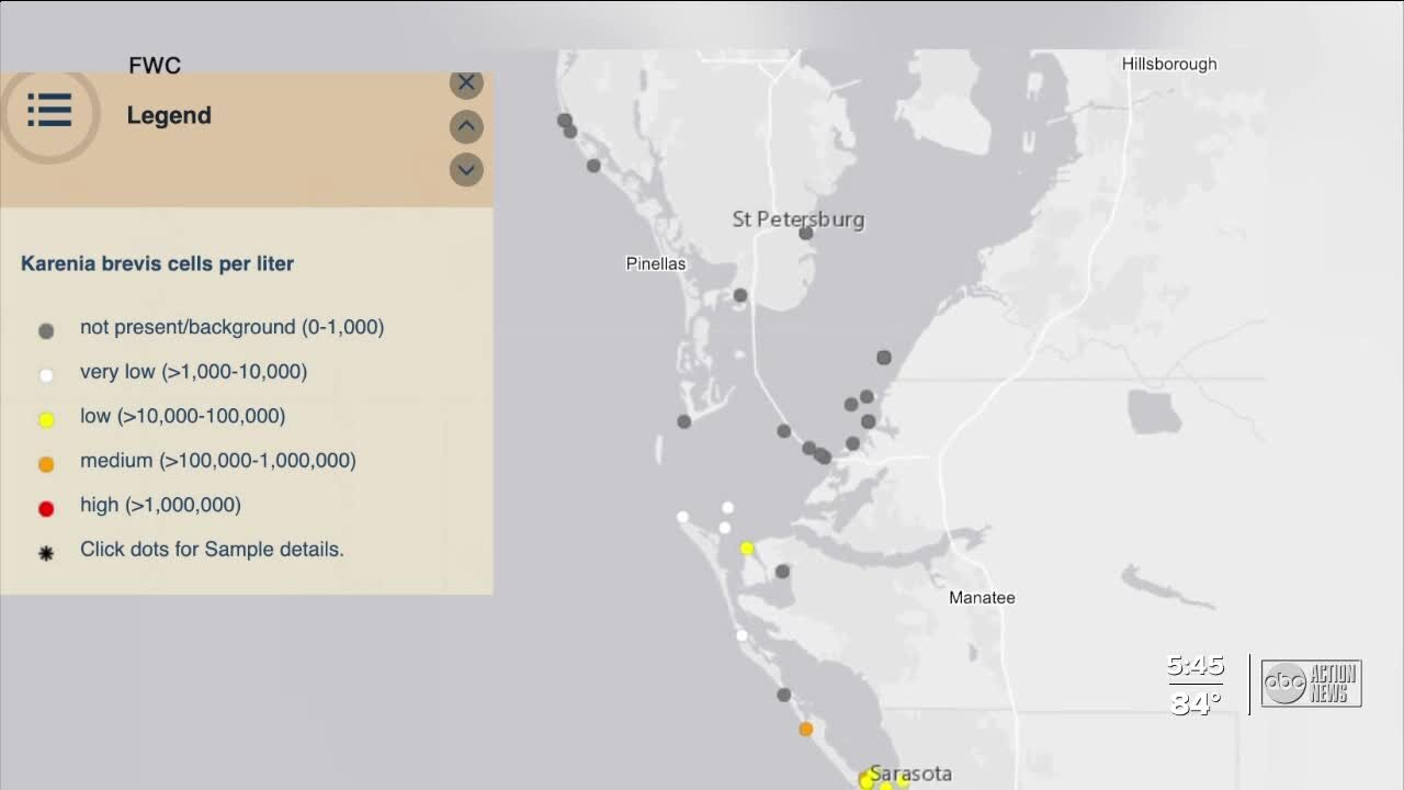 Tampa Bay watch monitoring water impact from Piney Point