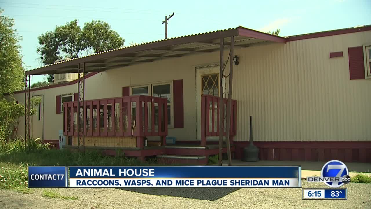 'Fighting' raccoons are nuisance neighbors in Sheridan mobile home park