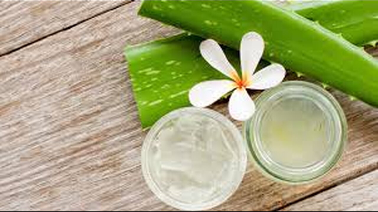 Unlocking the Benefits of Aloe Vera